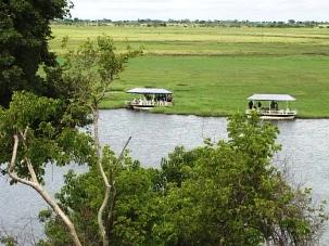 Chobe River boats